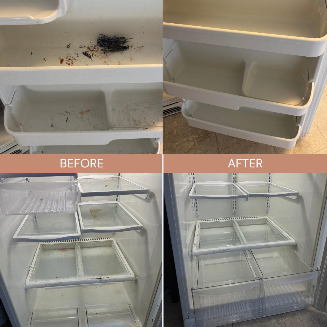 Fridge before and after cleaning collage