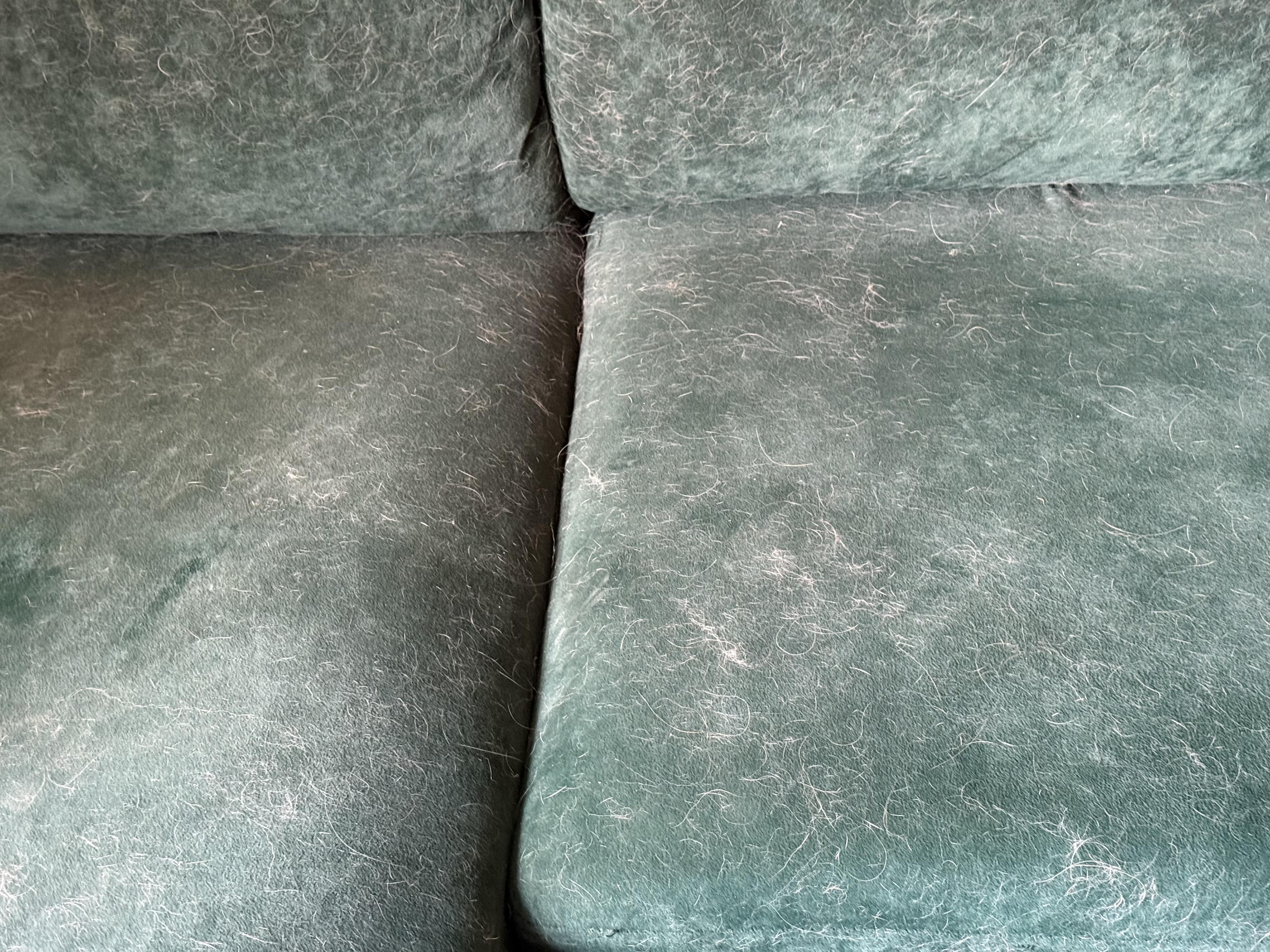 Upholstery refresh before cleaning