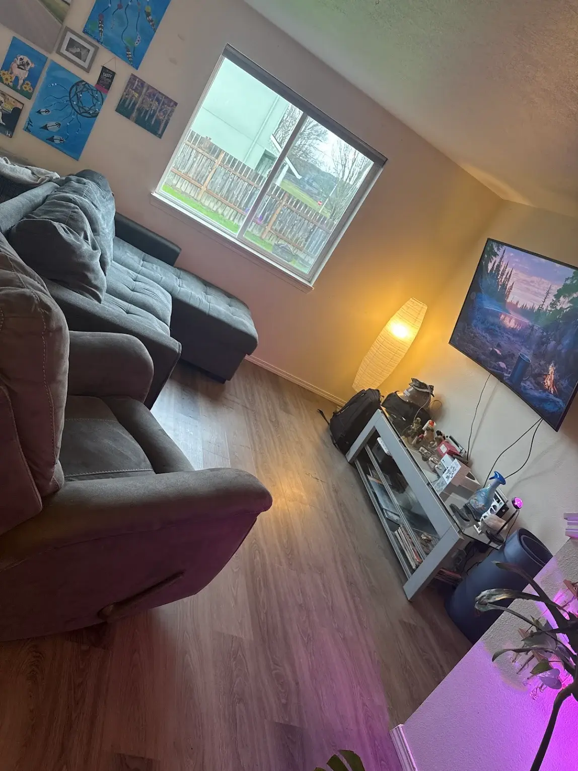Living room after cleaning