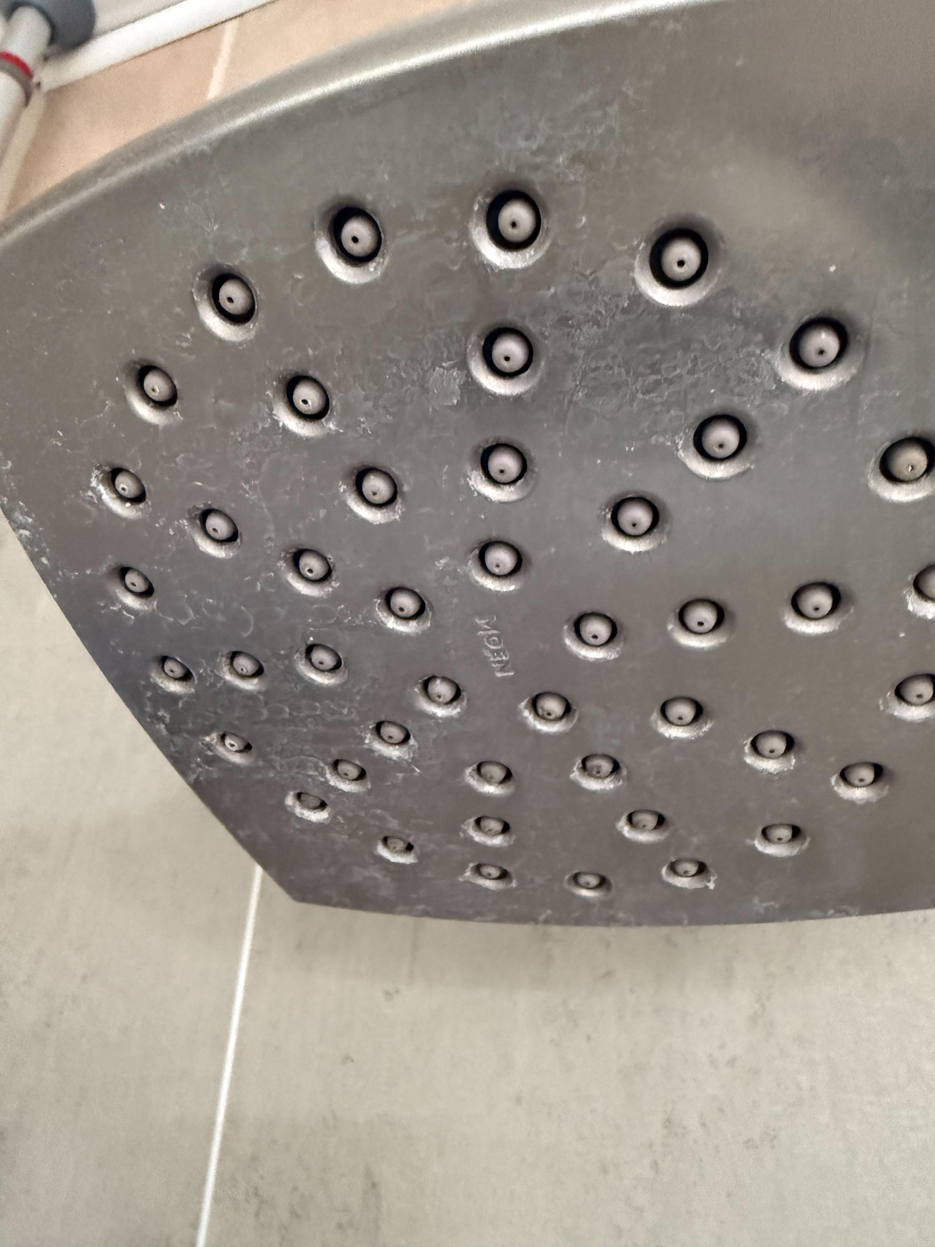 Shower head before cleaning